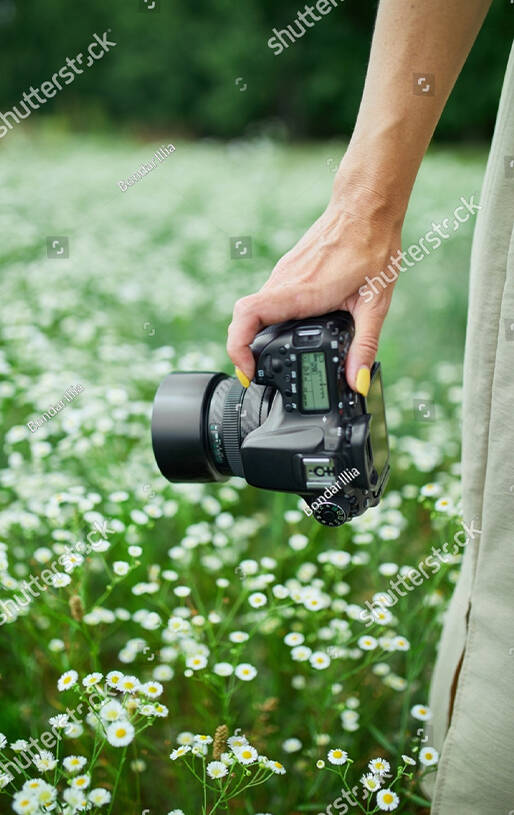 Person walking through a peaceful natural setting